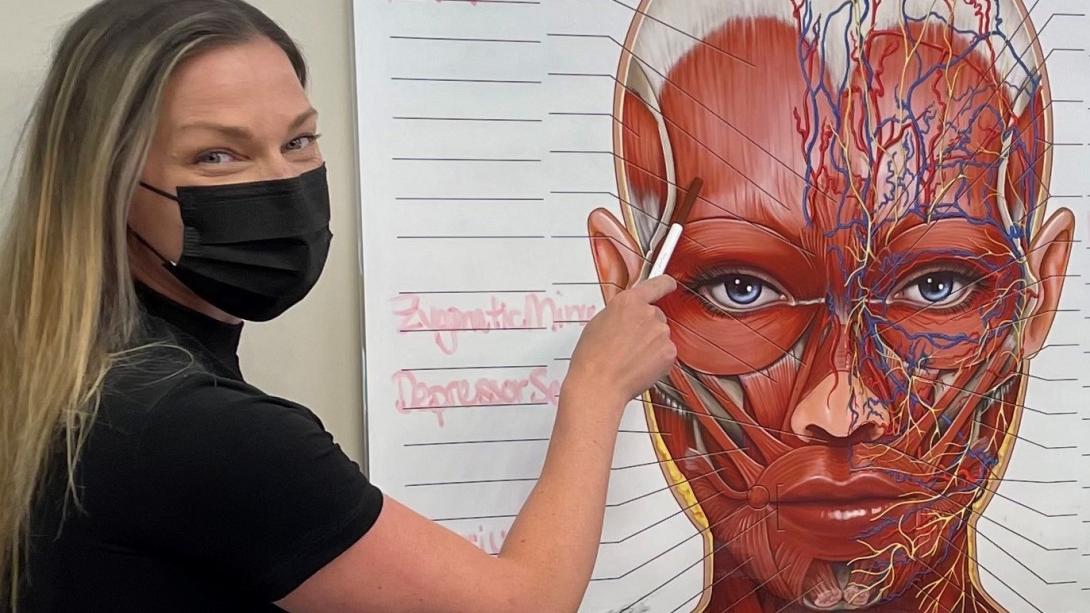 Facial Anatomy